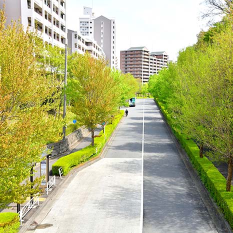 団地に住むには？一人暮らしもできる？入居条件と注意したいポイントを解説イメージ画像
