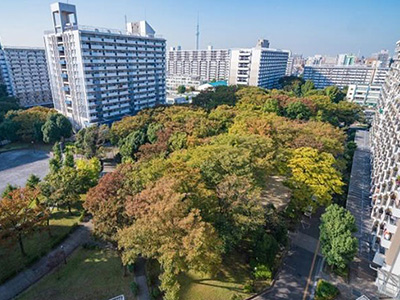 北砂五丁目（UR賃貸住宅）