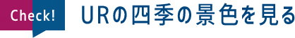 Check!URの四季の景色を見る