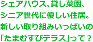 シェアハウス、貸し菜園、シニア世代に優しい住居。新しい取り組みいっぱいの「たまむすびテラス」って？