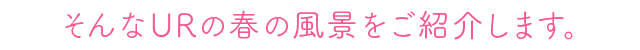 そんなURの春の風景をご紹介します。