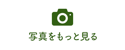 写真をもっと見る