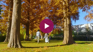 団地であそぼう_紅葉（埼玉県 みさと団地）の動画を見る