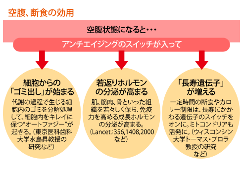 “空腹を感じるまで食べないこと”も効果的なアンチエイジング法