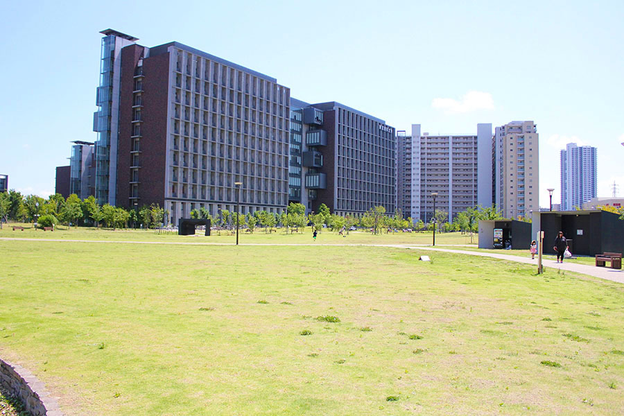 「葛飾にいじゅくみらい公園」の広々とした芝生。夏には水のせせらぎに癒されます