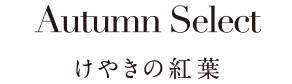 けやきの紅葉