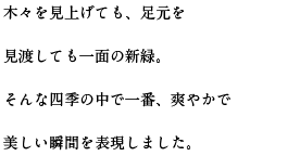 木々を見上げても、足元を見渡しても一面の新緑。そんな四季の中で一番、爽やかで 美しい瞬間を表現しました。