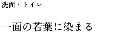 一面の若葉に染まる