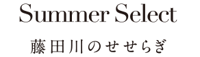 藤田川のせせらぎ