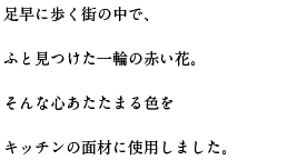 足早に歩く街の中で、ふと見つけた一輪の赤い花。そんな心あたたまる色をキッチンの面材に使用しました。