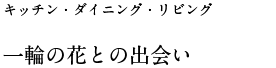 一輪の花との出会い