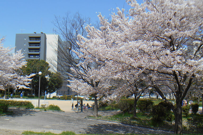 春の千島公園