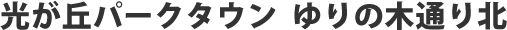 光が丘パークタウン ゆりの木通り北