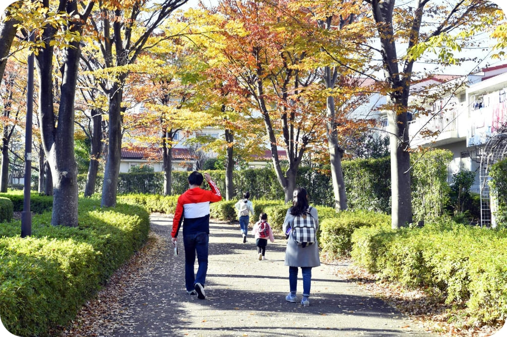 イチョウに彩られる諏訪・永山地区