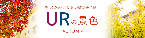 URの景色 -AUTUMN-