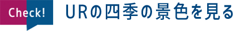 Check!URの四季の景色を見る