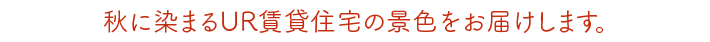 秋に染まるUR賃貸住宅の景色をお届けします。
