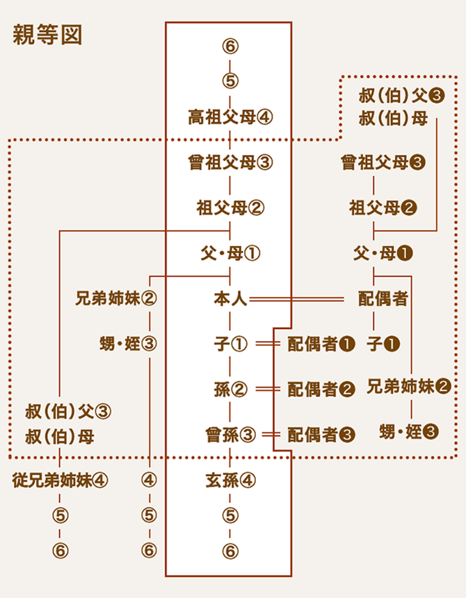 本人起点で説明。直系血族：父・母（1）、祖父母（2）、曾祖父母（3）、高祖父母（4）、子（1）、孫（2）、曾孫（3）、玄孫（4）。三親等内の親族：兄弟姉妹（2）、甥・姪（3）、叔父・叔母（3）、従兄弟姉妹（4） 次に配偶者経由の：子（1）、父母（1）、祖父母（2）、曾祖父（3）、叔父・叔母（3）、兄弟姉妹（2）、甥・姪（3）。高祖父母と玄孫以外は三親等以内の親族。