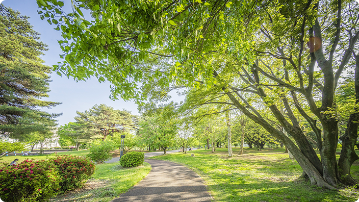 和光樹林公園のイメージ