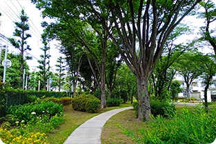 西大和団地内の森の散歩道のイメージ