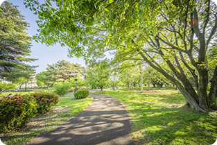 和光樹林公園のイメージ