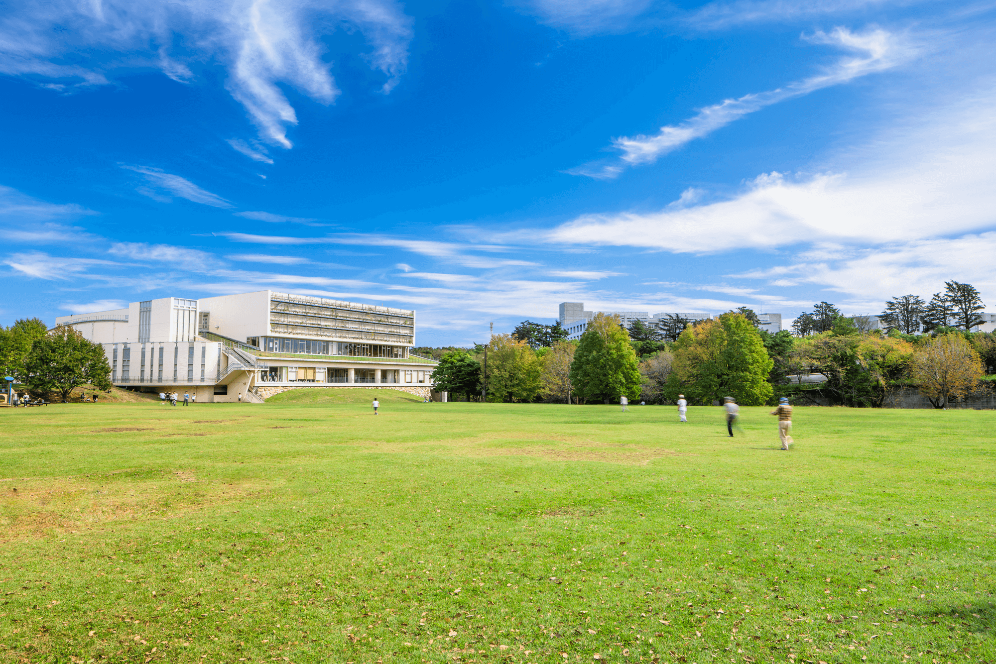 和光樹林公園のイメージ