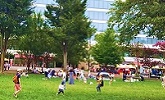 都会の公園（公共空間）でくつろぐ人々の写真