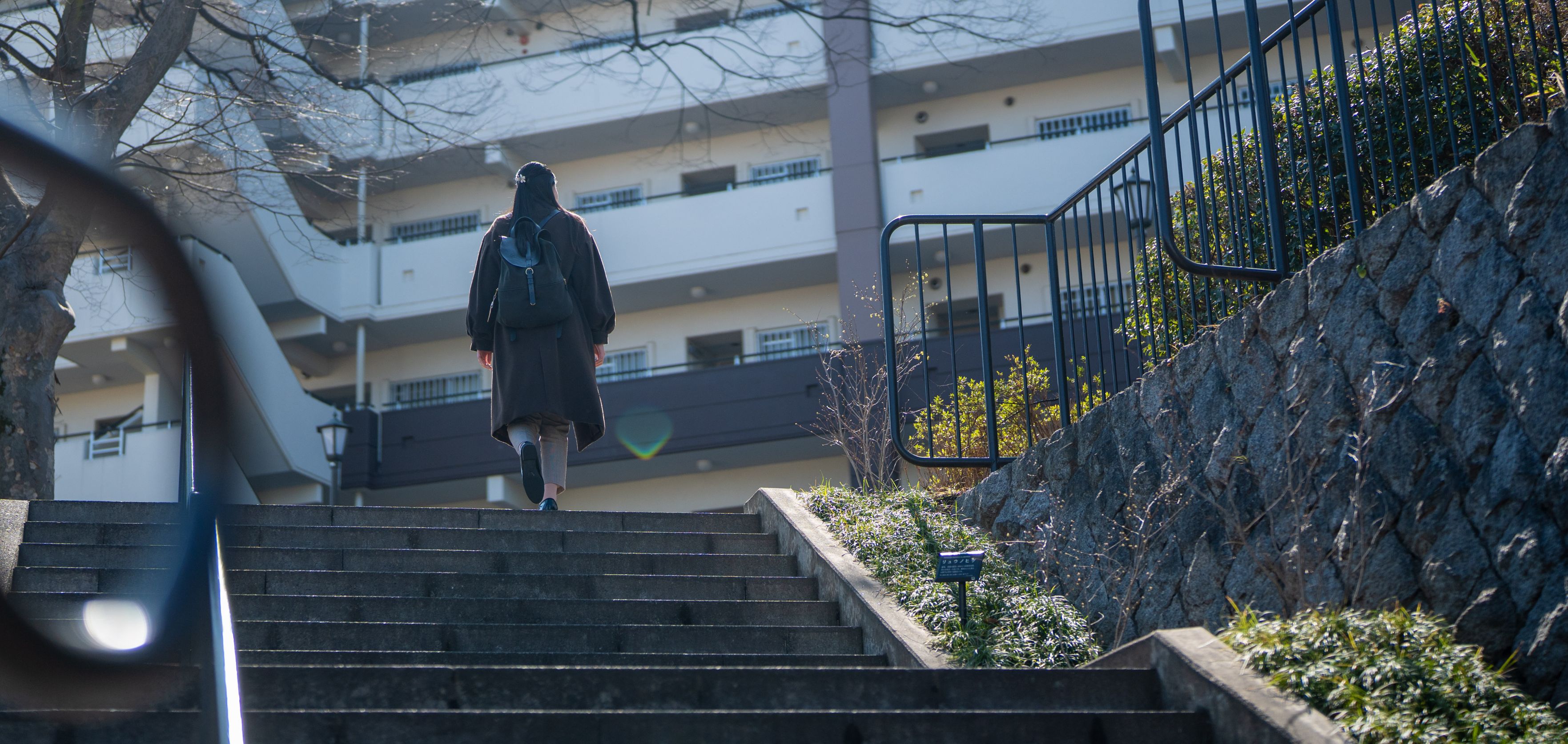 Education & career 人材育成・キャリア
