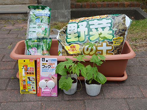 第九回茶話会 （これから茶話会 緑のカーテン〜植付編〜）野菜の土