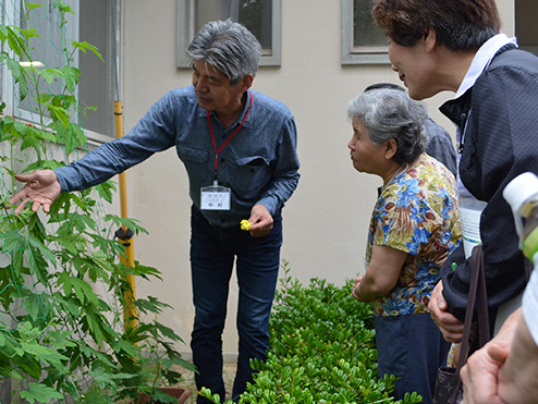 第十回茶話会 （これから茶話会 緑のカーテン〜摘芯編〜）説明をきく参加者2