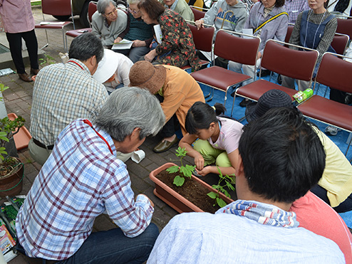 第九回茶話会 （これから茶話会 緑のカーテン〜植付編〜）植え付けする参加者