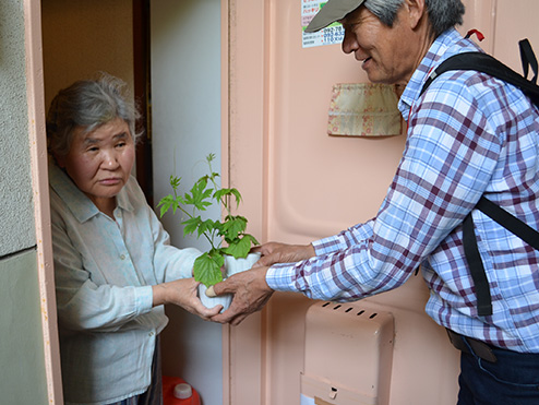 第九回茶話会 （これから茶話会 緑のカーテン〜植付編〜）鉢植えを手渡し