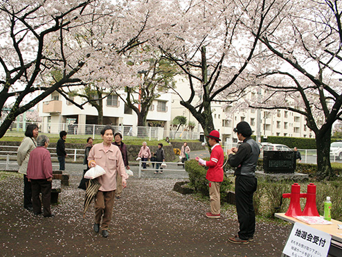 第八回茶話会 （これから茶話会 お花見会）桜の木の下で散策する参加者