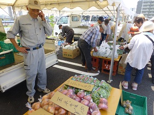 写真：新鮮野菜