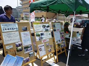 写真：サポナリア