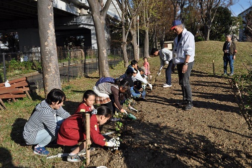 苗木の移植をみんなで行っている写真