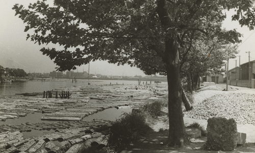 昭和時代の運河の写真