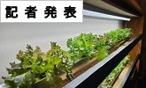 記者発表(PDFファイルです)(別ウィンドウで開きます)