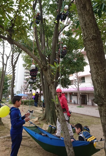 森之宮第２団地でツリークライミングをタシム子供たちの写真