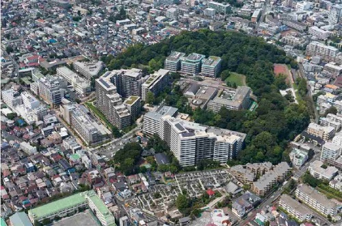 江古田の森公園を中心とした江古田三丁目地区の空撮写真