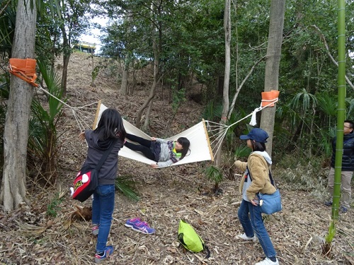 緑地の高木を利用してハンモックを楽しんできる子どもたちの写真