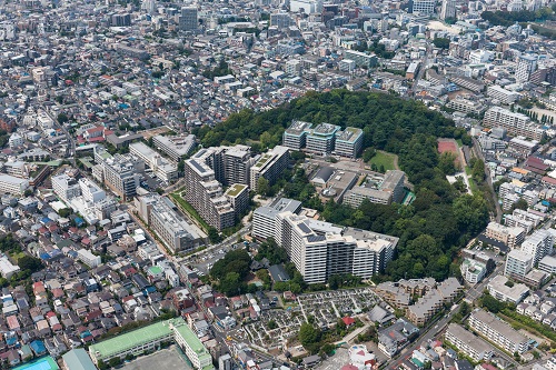 江古田の森公園の空撮写真