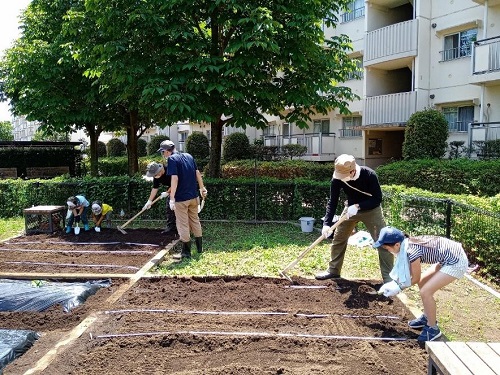 畑をたがやし、うねを作っている親子の写真