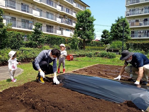 うねの上にマルチシートをかぶせている写真