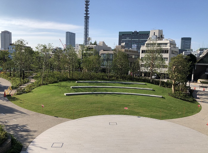 芝生と木々に囲まれたコモレビ広場の写真