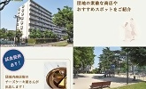 団地の素敵な商店やおすすめスポットをご紹介　試食提供あり！　団地内商店街のチーズケーキ屋さんが出店します！