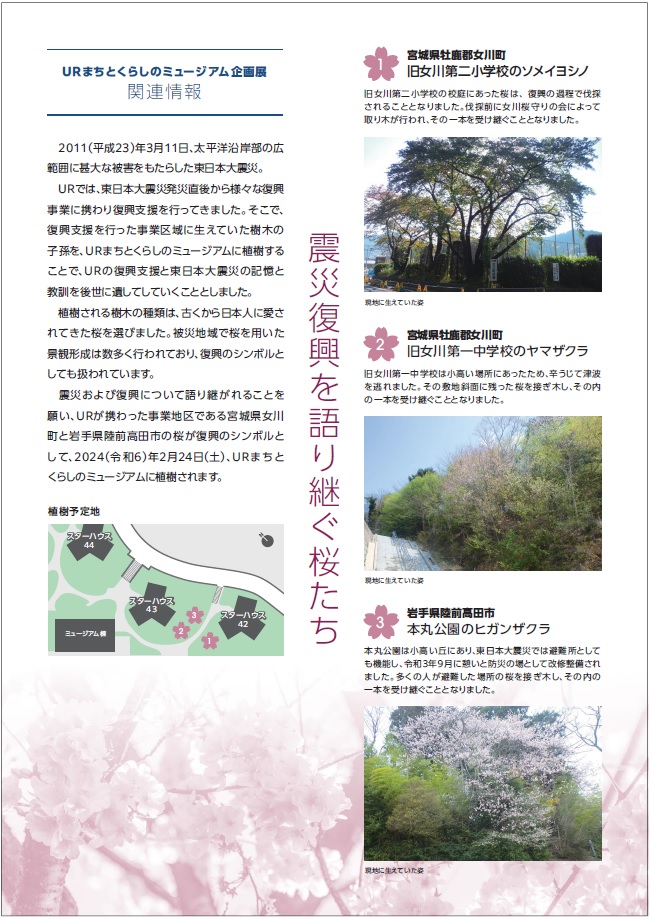 震災復興企画展「被災地とともに」チラシ裏面 震災を語り継ぐ桜たちを紹介