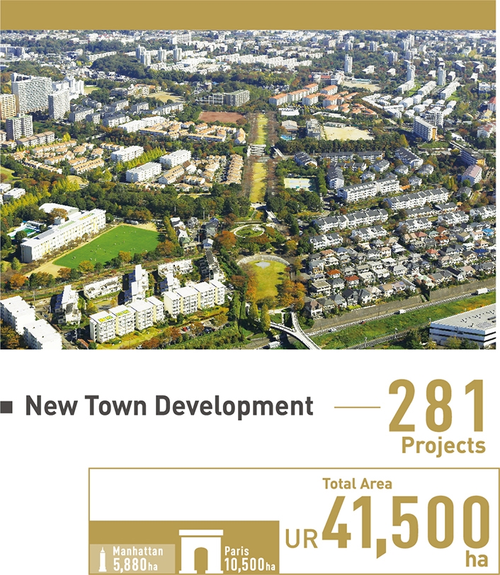 New Town Development