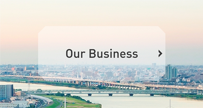 Our Business