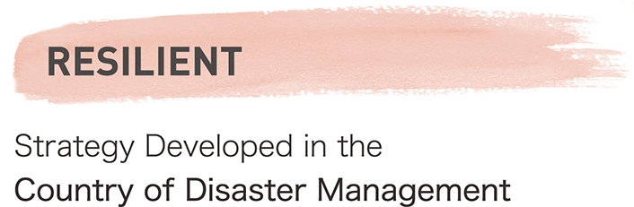 Resilient. Strategy Developed in the Country of Disaster Management